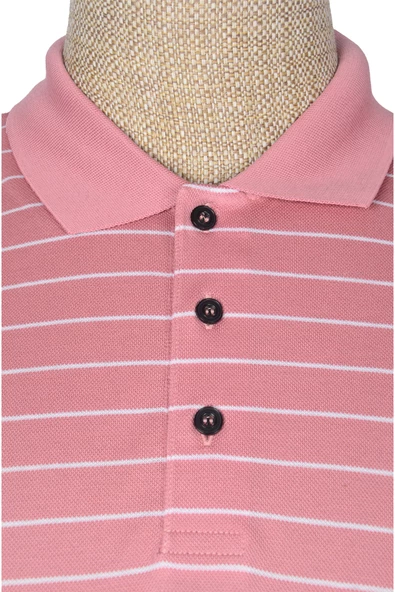 Cengiz İnler Polo Yaka Erkek T-shirt - 2
