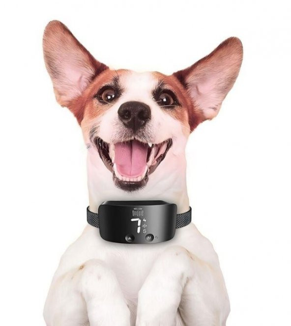 Doggie Havlama Önleyici Eğitim Tasması Black - 2