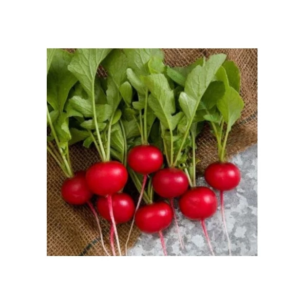 Agrokar Fındık Turp 10 GR