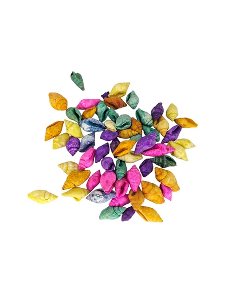 Renkli Deniz Kabukları 40 gr ürün görseli