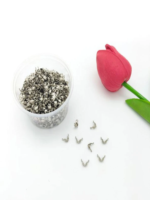 Gümüş Bit Kapama ürün görseli