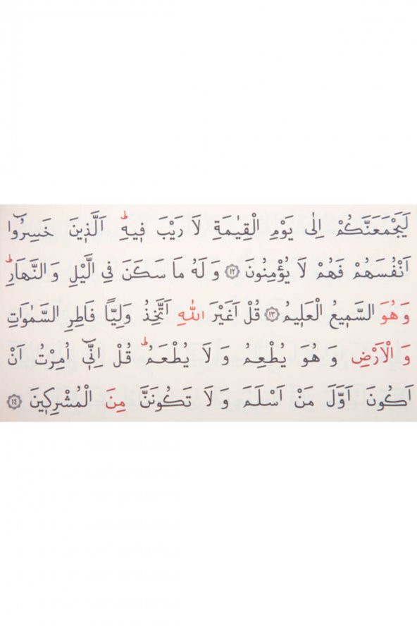 Ahşap Kutulu Kuran-ı Kerim (0123 - Çanta Boy) - 4