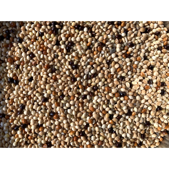 Karışık Muhabbet Kuşu Yemi 1 Kg - Yeni Mahsül