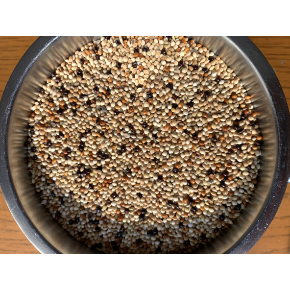 Karışık Muhabbet Kuşu Yemi 1 Kg - Yeni Mahsül - 2