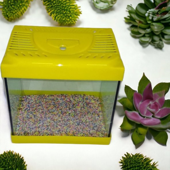 Girist Pet Mini Kare Akvaryum 20x20 cm Sarı