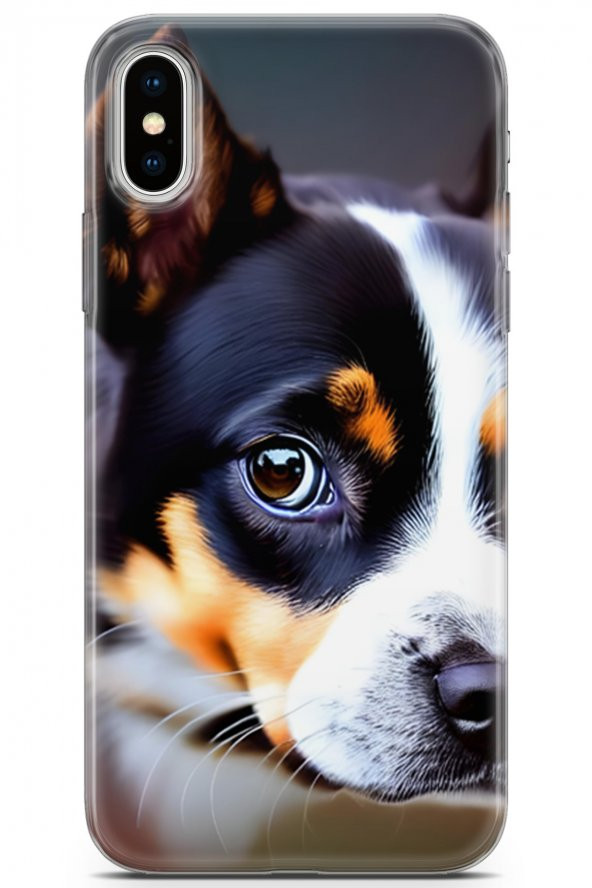 Apple iPhone X - XS Uyumlu Kılıf Dogs 11 İsviçre Bernese 4K Baskılı Kılıf Siyah