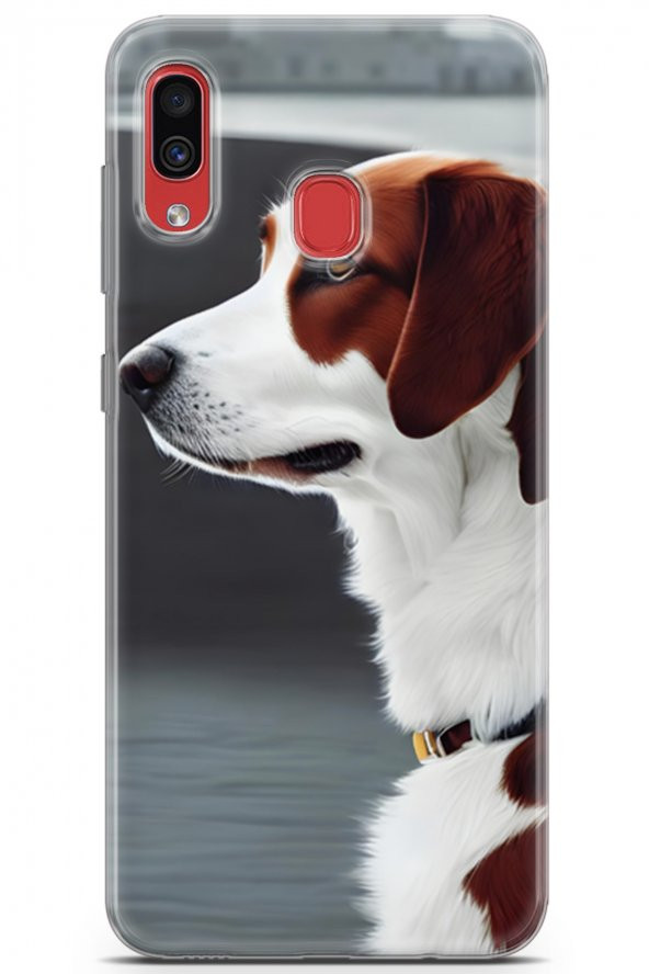 Samsung Galaxy A40 Uyumlu Kılıf Dogs 18 Süvari Köpeği Parlak Kılıf Koyu Kahve