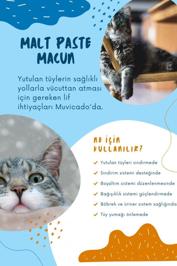 Kedi Maltı - Kediler İçin Tüy Yumağı Önleyici - Malt Paste  100g