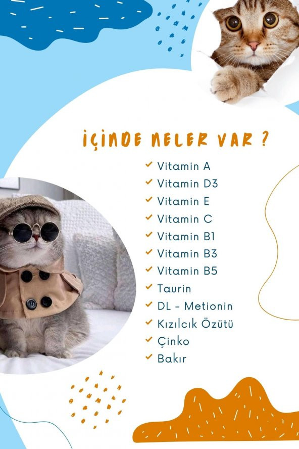 Kısırlaştırılmış Kedilere Özel Multi Vitaminli Steril Macun   - Sterile Paste 100 g - 3