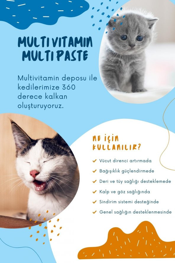 Multivitamin Malt Macunu - Multi Paste - Kedilerde Bağışıklık Sistemi Güçlendirici Yumak Önleyici