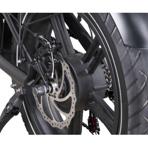 Ape Ryder DC20 Elektrikli Bisiklet - 3