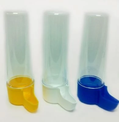 Kanarya Suluk Karışık Renklerde