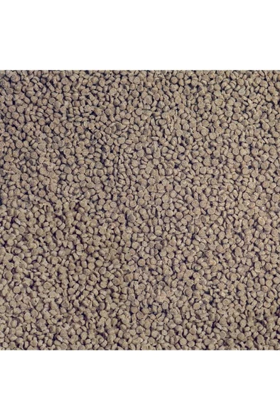 Sera GranuRed Nature 250 gr Poşette Skt: 10/2027 - 2