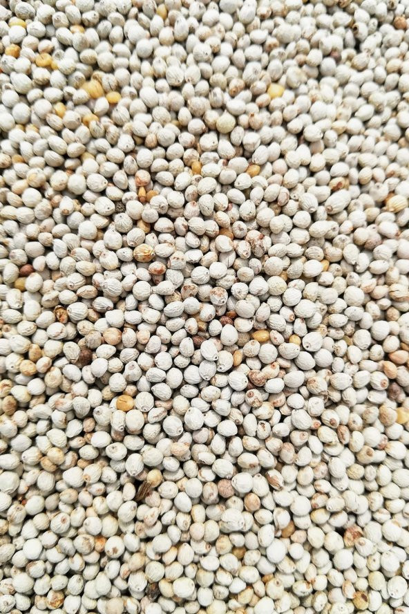Kuşlarınız İçin Perilla Tohumu 1 kg