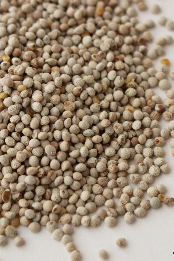 Kuşlarınız İçin Perilla Tohumu 100 Gram