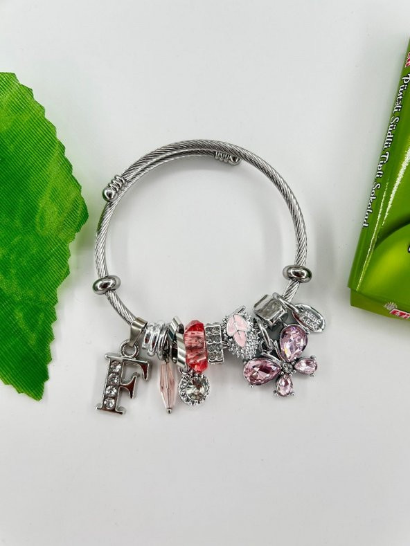 Kadın Charm F Harfi & Pembe Taşlı Çelik Kelebek Bileklik