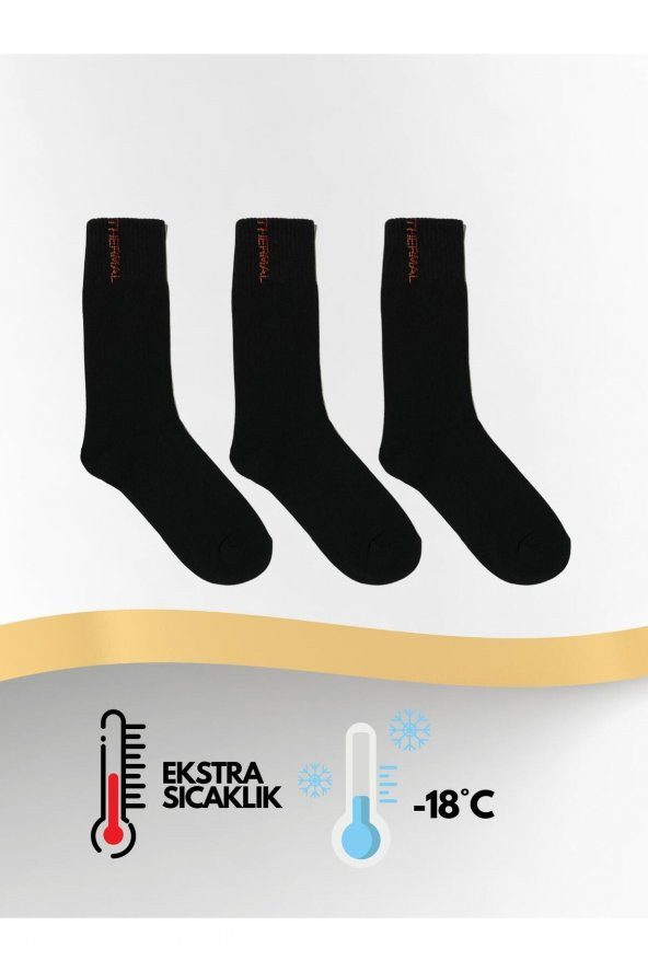 Termal Kışlık Kalın Havlu Erkek Siyah Çorap 3lü