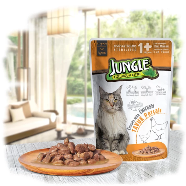 Jungle 1 adet 100gr Pouch Kısır Kedi Tavuklu Soslu Skt :09/2025