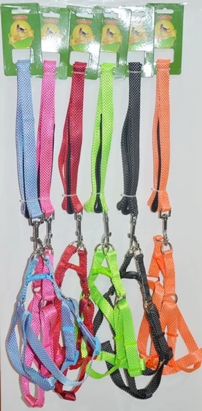 ROYALIST 201629 KÖPEK GÖĞÜS TAKIMI 2.5CM