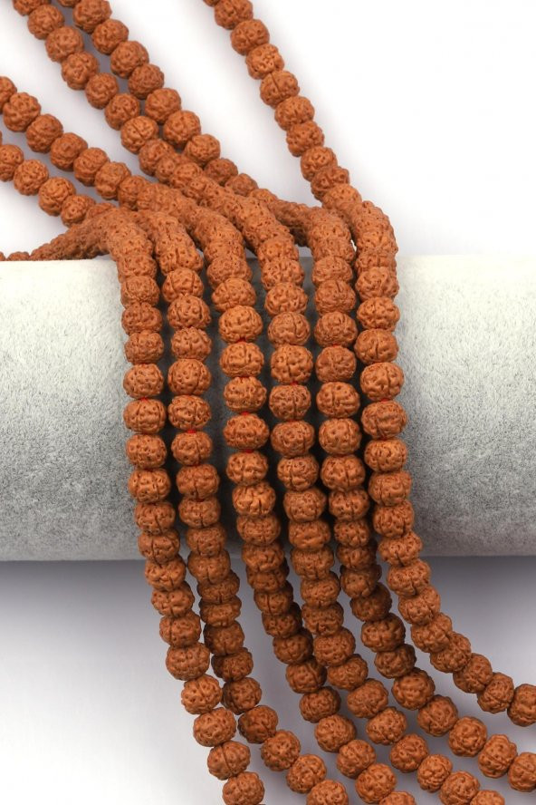 Rudraksha Tohumu Dizi 6 x 7 mm Rondel Kesim ürün görseli
