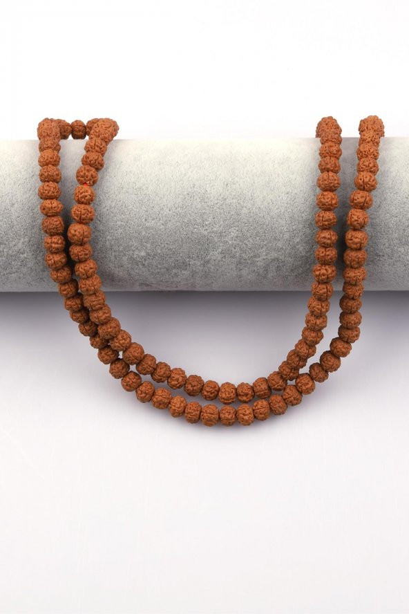 Rudraksha Tohumu Dizi 6 x 7 mm Rondel Kesim - Resim 2