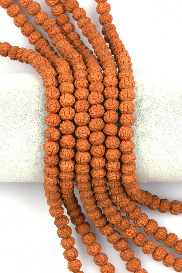 Rudraksha Tohumu Dizi 6 x 7 mm Rondel Kesim ürün görseli