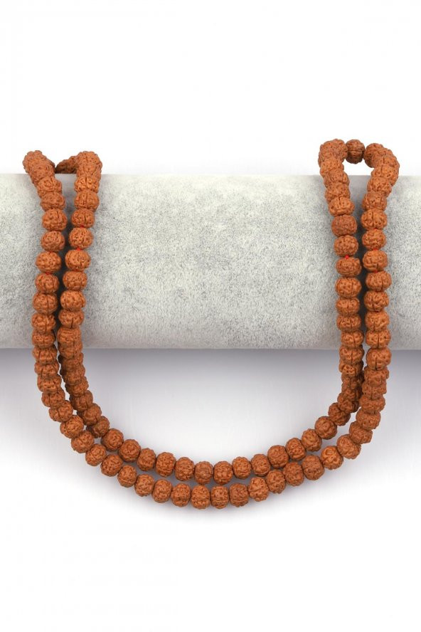 Rudraksha Tohumu Dizi 6 x 7 mm Rondel Kesim - Resim 2