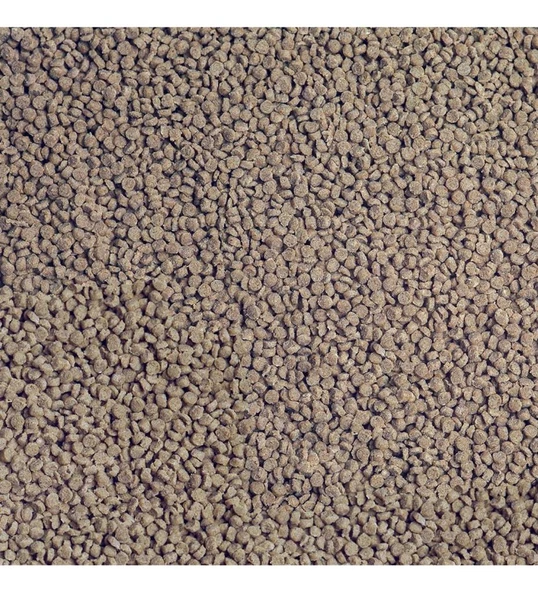 Sera GranuRed Nature 100 gr (Açık) Poşette Protein Cichlid Balık Yemi Skt : 05/2028 - Resim 2