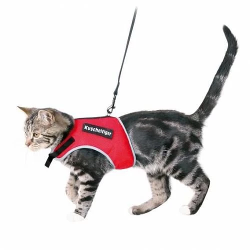 Trixie kedi göğüs tasma seti 24-42cm/1. 20m - 2