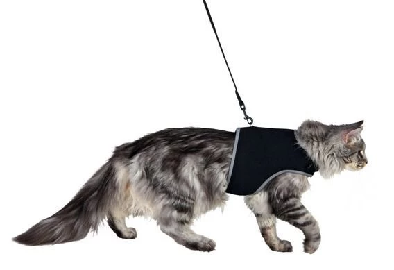 Trixie kedi göğüs tasma seti 24-42cm/1. 20m - 3