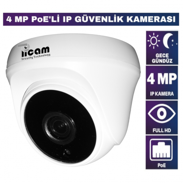 Picam 4 MP IP Dome Kamera Ip Kamera 3.6mm 5MP Sony Lens POELİ