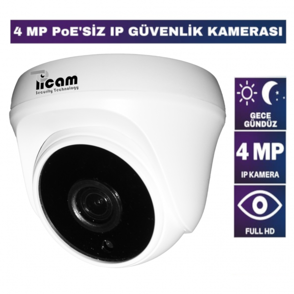 Picam 4 MP IP Dome Kamera Ip Kamera 3.6mm 5MP Sony Lens POESİZ