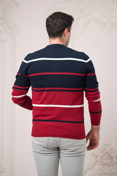 Dorss Slimfit Bisiklet Yaka Çizgili Pamuklu Erkek Spor Kazak - 5