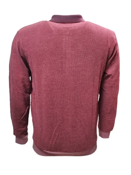 Rey Polo R01253 Erkek Basic Selanik Polo Yaka Sweatshirt - Resim 2