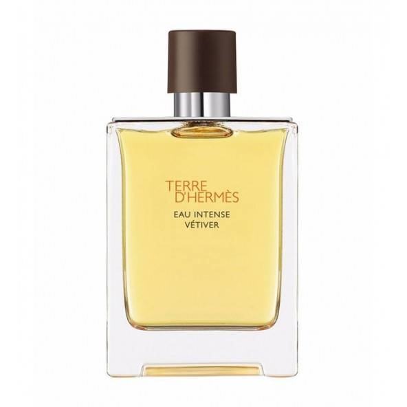 Hermes Terre D Hermes Eau Intense Vetiver EDP 100 ml - 2