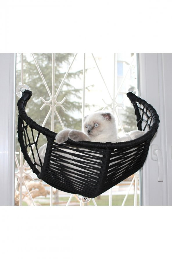 Harold Kedi Cam Yatağı & Cam Askılı Vantuzlu Kedi Yatağı Siyah - 2