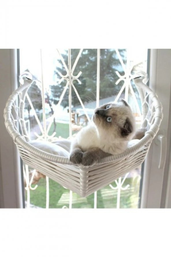 Harold Kedi Cam Yatağı & Cam Askılı Vantuzlu Kedi Yatağı Beyaz - 2