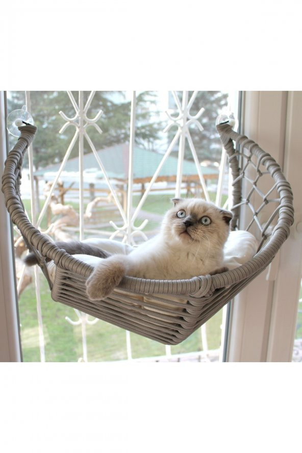 Harold Kedi Cam Yatağı & Cam Askılı Vantuzlu Kedi Yatağı Gri - 3