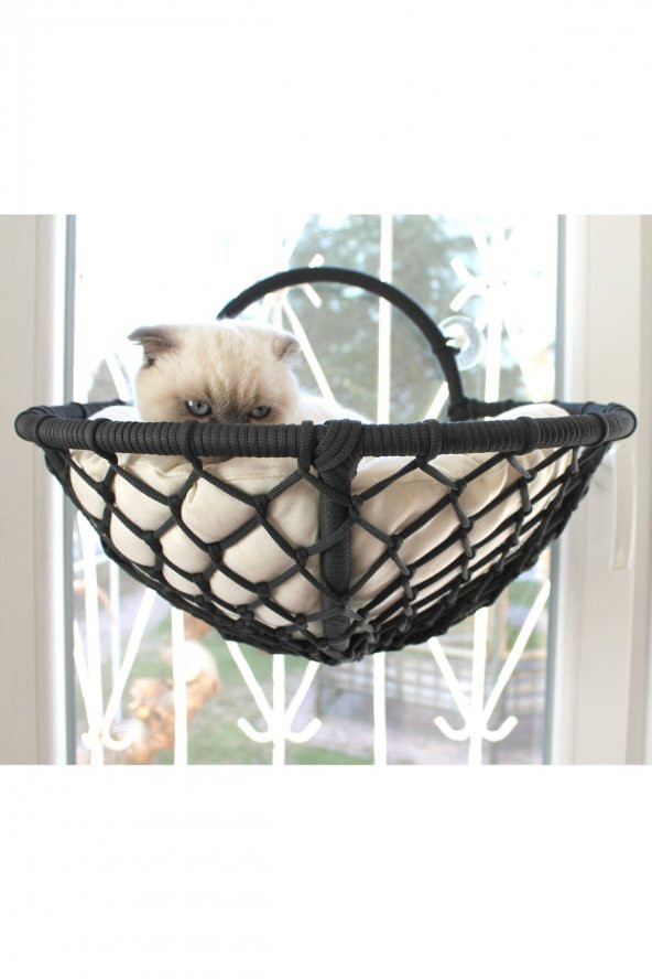 Grant Kedi Cam Yatağı & Cam Askılı Vantuzlu Kedi Yatağı Antrasit - 3