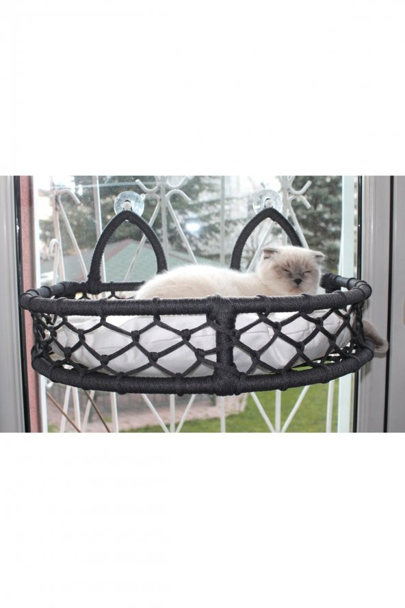 Cedric Kedi Cam Yatağı & Cam Askılı Vantuzlu Kedi Yatağı Antrasit - 3