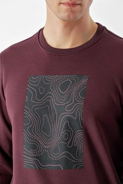 Slimfit Bisiklet Yaka Önü Baskılı 2 İplik Erkek Sweatshirt - 5