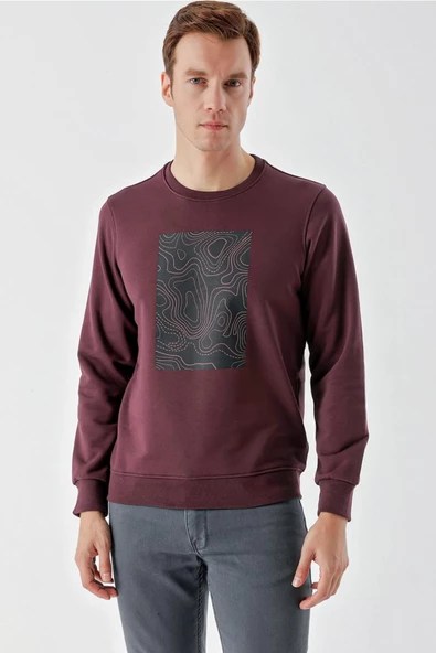 Slimfit Bisiklet Yaka Önü Baskılı 2 İplik Erkek Sweatshirt - 3