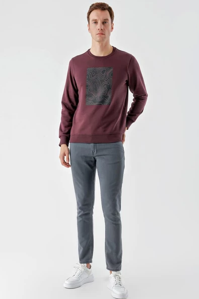 Slimfit Bisiklet Yaka Önü Baskılı 2 İplik Erkek Sweatshirt - 4