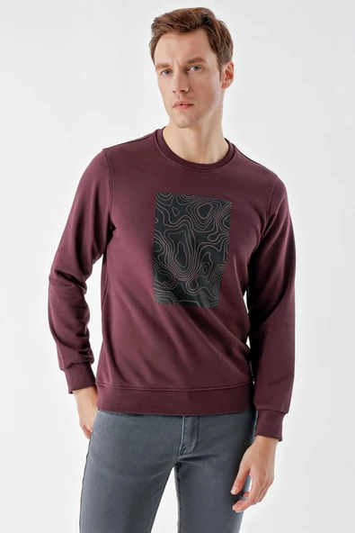 Slimfit Bisiklet Yaka Önü Baskılı 2 İplik Erkek Sweatshirt - 2
