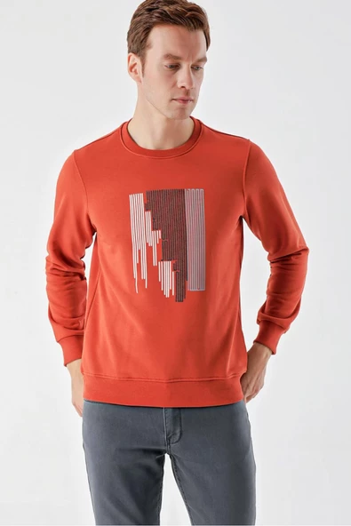 Slimfit Bisiklet Yaka Önü Baskılı 2 İplik Erkek Sweatshirt - 2