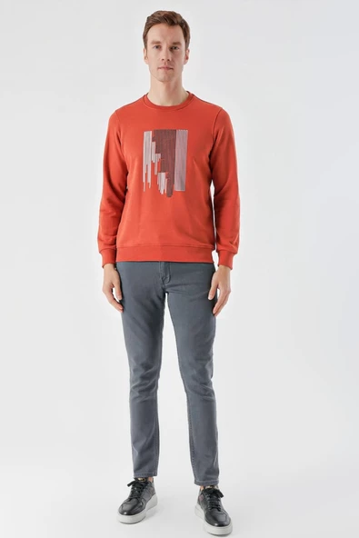 Slimfit Bisiklet Yaka Önü Baskılı 2 İplik Erkek Sweatshirt - 4