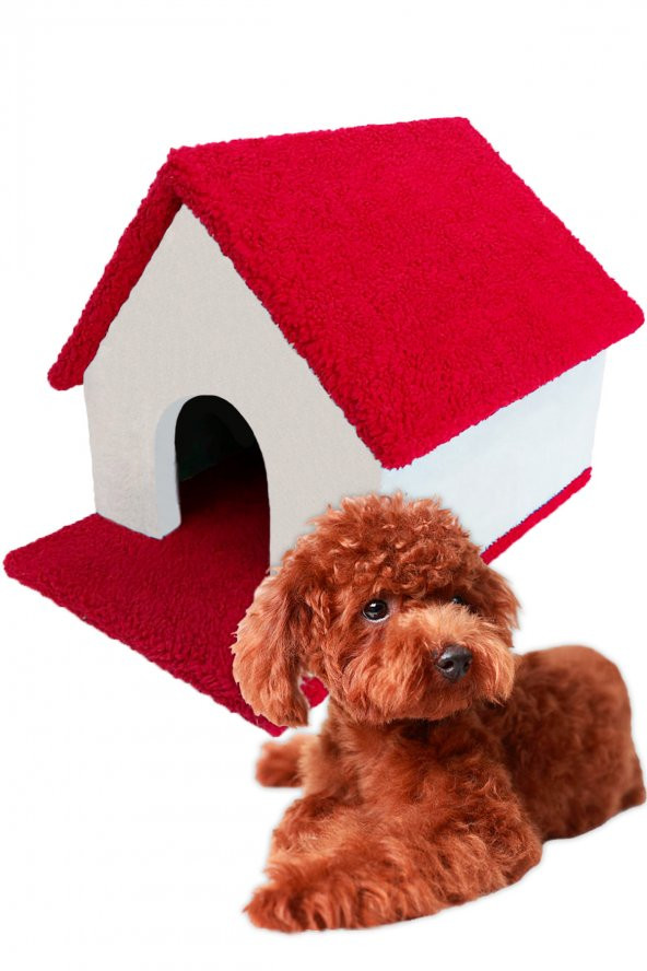 Kulübe Köpek Evi Küçük ve Orta Irk - 5