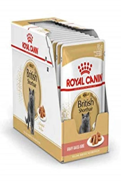 Royal Canin British Shorthair 85 gr 12'li Yetişkin Kedi Yaş Maması