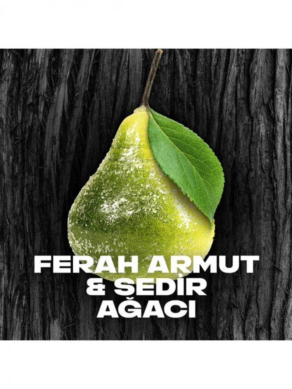 Axe Erkek Sprey Deodorant Black Xl 48 Saat Etkileyici Koku 200 Ml - Resim 4