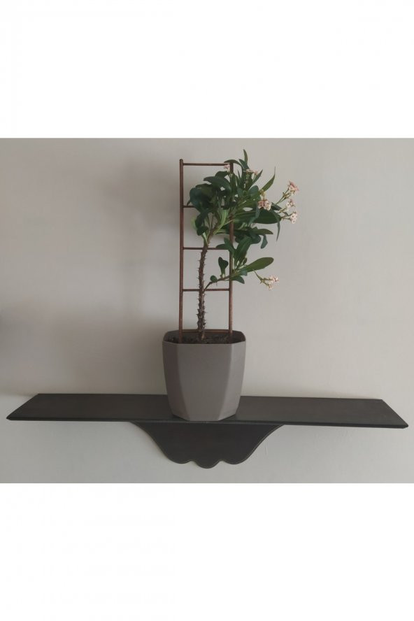 Saksı Içi Dekoratif Ahşap Bitki Merdiveni (60 Cm) - 3